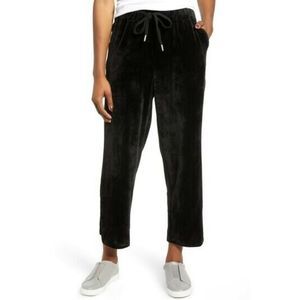 NWT CASLON  Off Duty Velour Pants Size L New